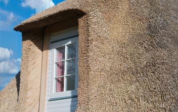 Hardisworthy thatch roof disadvantages