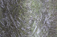 Hardisworthy fibreglass roof work